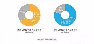 清北畢業生流向透視 互聯網數據服務行業成新熱點