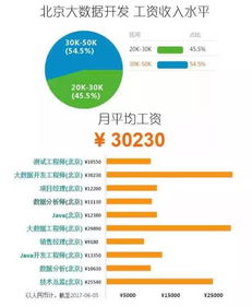 2017年大數據行業 掘金“服務”藍海，數據變現正當時